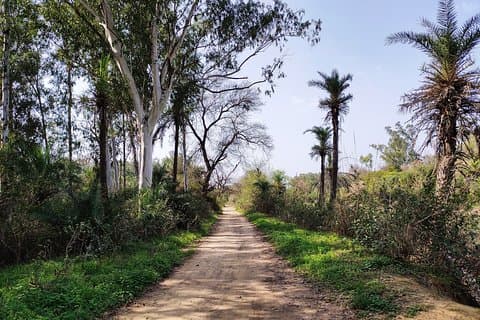 The best of Ludhiana walking tour