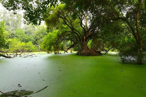 Romantic tour in Ludhiana