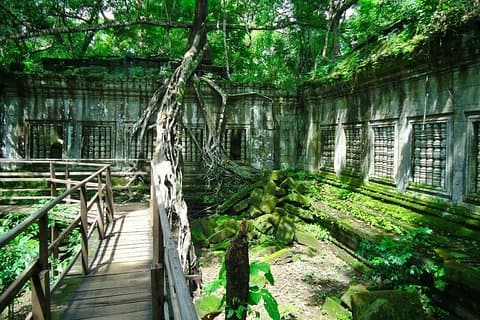 Entdeckungstour zum zerstörten Tempel