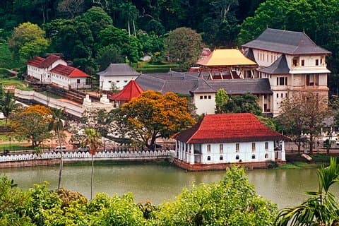 Kandy-stadstour vanaf Mount Lavinia