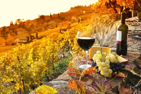 Montepulciano y Pienza Tuscany Wine & Cheese Fullday desde Florencia