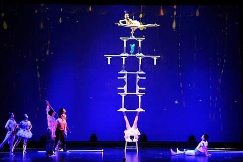 Cena di Shanghai e spettacolo di acrobazie