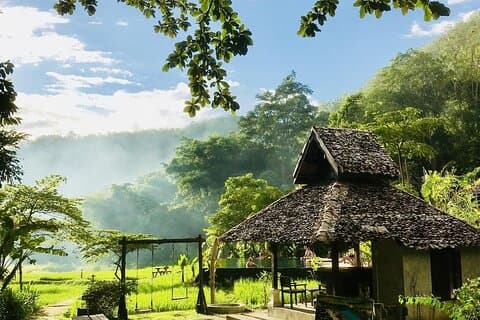 2-day Chiang Mai - Trekking in Mae Kampong village