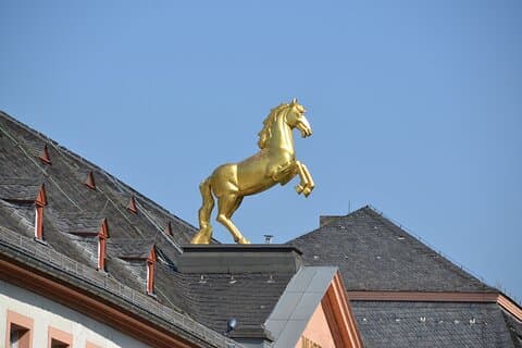 1 uur privérondleiding: Landesmuseum Mainz