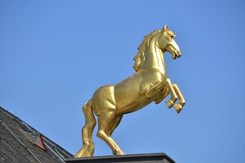2 uur privérondleiding: Landesmuseum Mainz