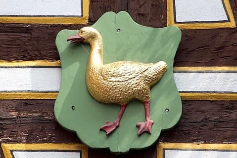 2 uur durende Mainz-quiz voor kinderen en tieners