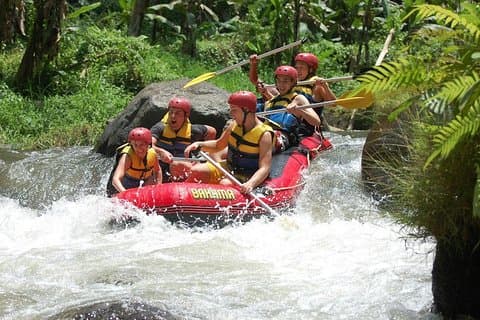 Small-Group White Water Rafting in Bali
