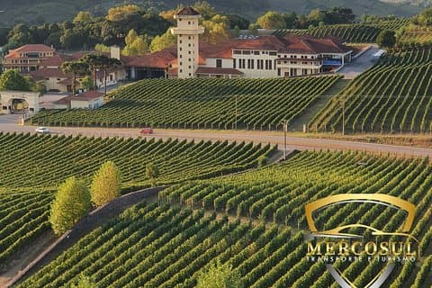 Vale dos Vinhedos: Private Group Tour vanuit Porto Alegre