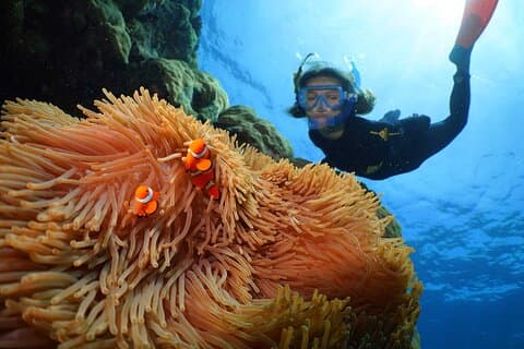 ポートダグラス発シルバーソニックアウターグレートバリアリーフクルーズ