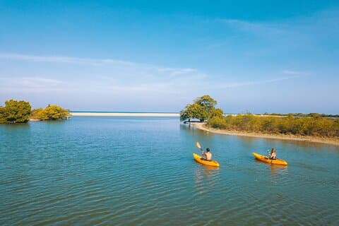 Kajakpaddling i Kalpitiya Lagoon