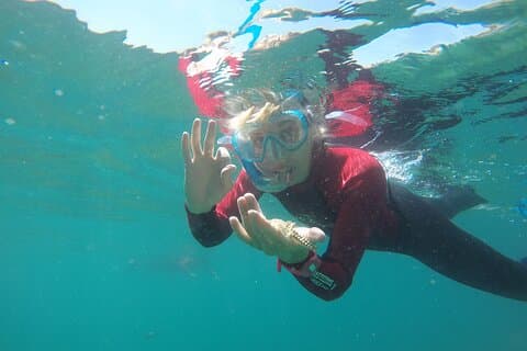 Snorkling - Marine Park Discovery