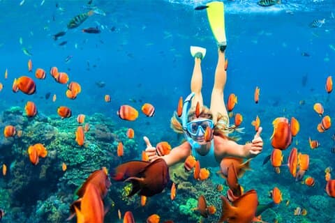 Snorkel desde Negombo