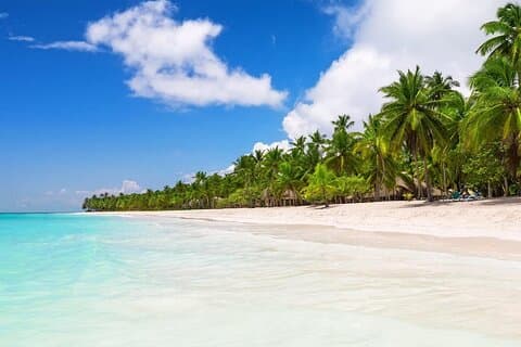 Tour privato in barca di Saona Island con pranzo e bevande