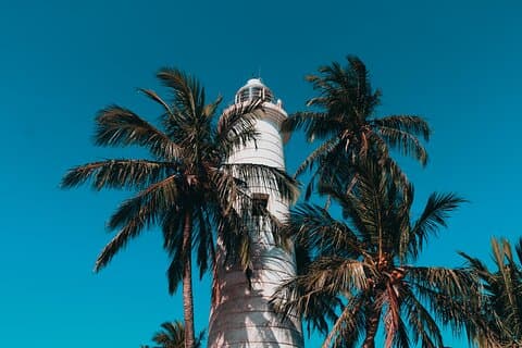 Southern Coast Highlights Tour fra Bentota