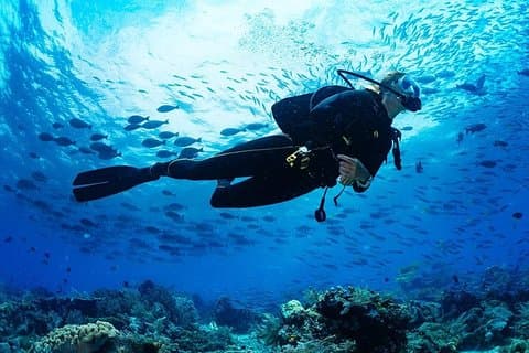 Scuba Diving in Hikkaduwa