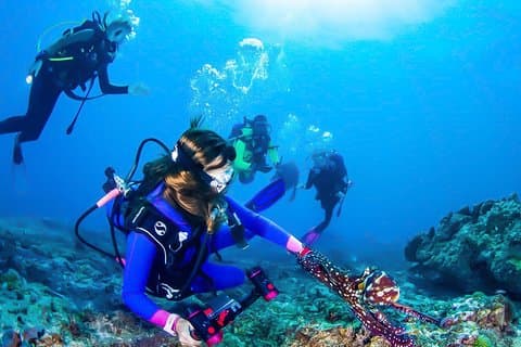 Snorkling i Talawila St. Anne's Reef