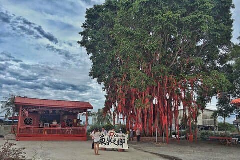Paddy Field, Pueblo de pescadores Sekinchan DAY Tour Almuerzo (SIC-Shared / Join In Tour)