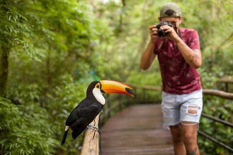 Visite du parc ornithologique