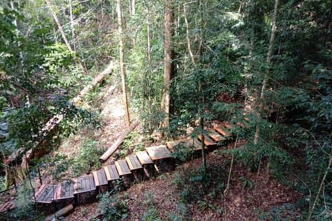 Hoteller i nærheden af Taman Negara National Park Trekking Day Tour