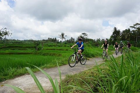 Kintamani kultur- och naturcykeltur ( manuell cykel )