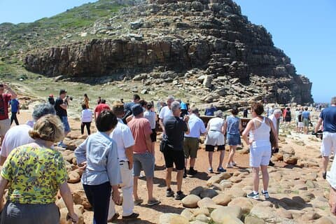 Liten gruppe privat tur til Cape Point Penguins fra Cape Town Ekskl. inngangsavgifter