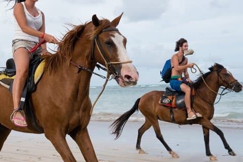 Horseback Riding Adventure on Macao Beach – Punta Cana