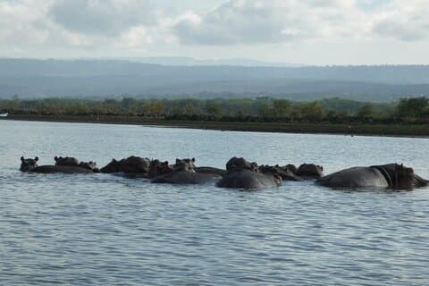 5 días de safari a Amboseli N / P, lago Naivasha, Maasai Mara N / R.