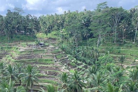 Visite privée du meilleur d'Ubud et du volcan du mont Batur à Bali