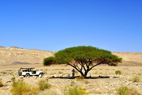 Desert Safari og Dead Sea Day Trip fra Tel Aviv
