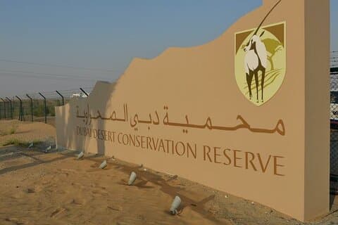 Ochtendwoestijnsafari met vervoer vanuit Dubai