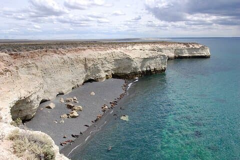 Tour Privado pela Cidade de Puerto Madryn incluindo a Reserva dos Leões Marinhos de Punta Loma