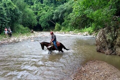 Opplev ridning, ATV & Zipline fra Puerto Vallarta