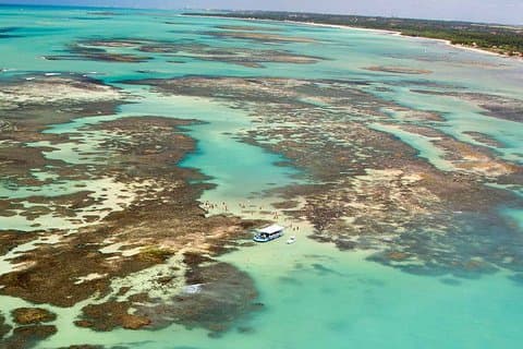 Heldagsbesök till Paripueira Beach och Tide Pools i Maceió