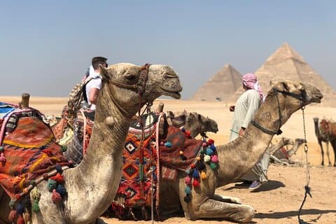 Increíble excursión de un día a lo más destacado de El Cairo desde Sharm ElSheikh en avión