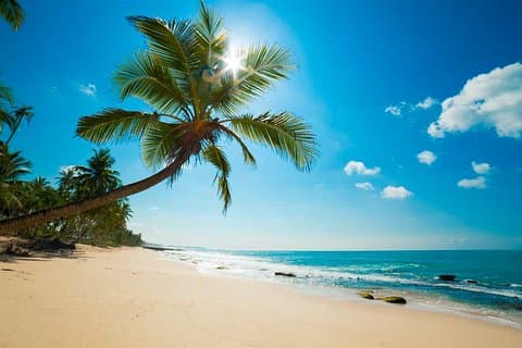 Passeio pela cidade de Negombo