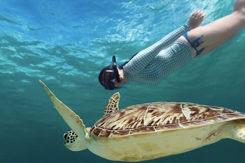 OPLEV SVØMNING med TURTLES og oplev de fantastiske Tulum Ruins ture.