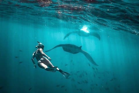 Het beste van Nusa Penida met snorkeltocht