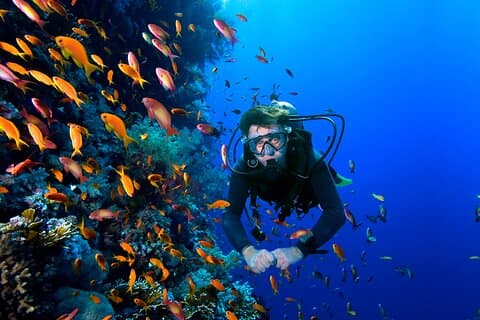Diving Experience In Buzios