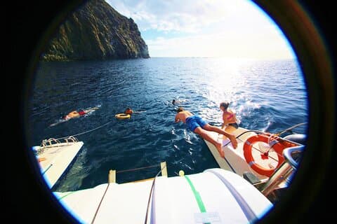 Osservazione delle balene e ascolto di Eco-Catamaran Tour con degustazione di cibo