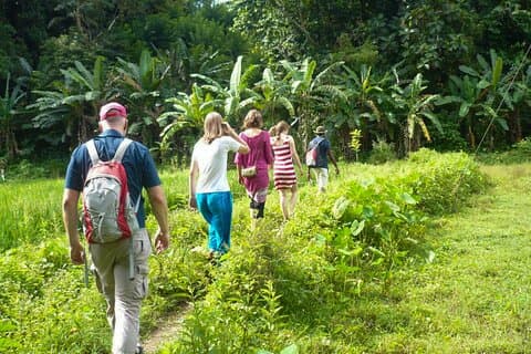 Wandeling naar Peacock Hill vanuit Kandy