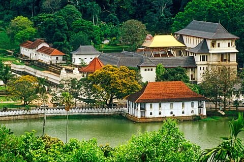 Kandy City Tour from Hikkaduwa