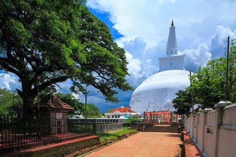 Heliga staden Anuradhapura från Sigiriya