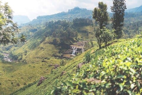 6 days Private guided tour ~ Sri lanka ;Solo ;Group ;Couple