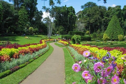 Kandy bytur fra Dambulla