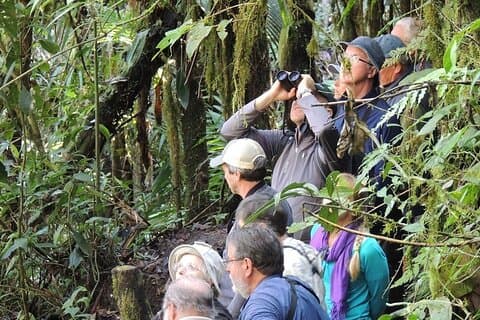 2-dages privat Quito Birdwatching Tour