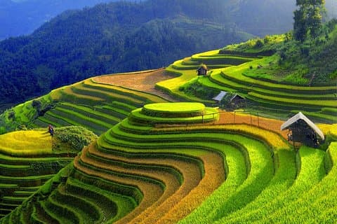 Tour di mezza giornata in bici nella valle di Muong Hoa