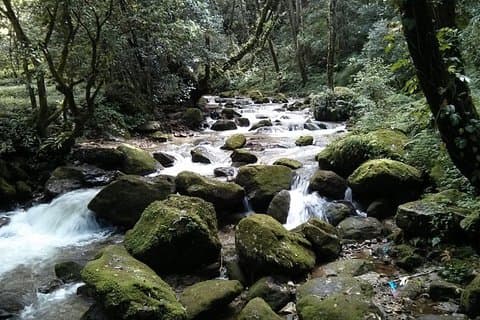 Excursión de medio día a Budaneelkantha
