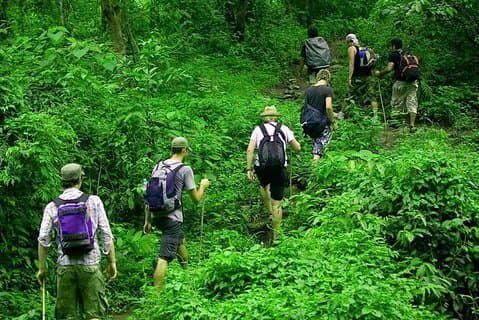 Trekking en la selva tropical en Kitulgala