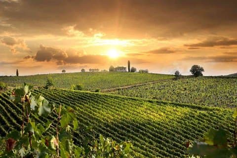 Wine and Cheese Tastings Southern Tuscany ShoreExcursion from Civitavecchia Port