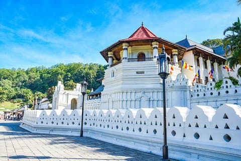 Excursión de un día de Colombo a Kandy